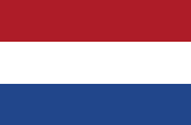Netherlands Domestic B2B E-Invoicing Mandate: January 2030 and Beyond