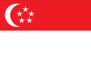 Singapore e-invoicing for 2025 &ndash; 2026