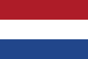 Netherlands Domestic B2B E-Invoicing Mandate: January 2030 and Beyond