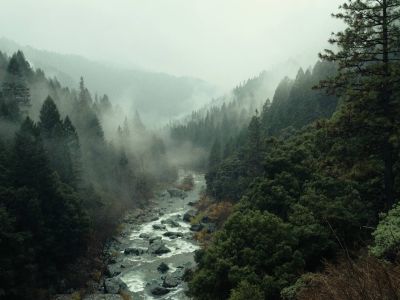 Key Trends in VAT Landscape